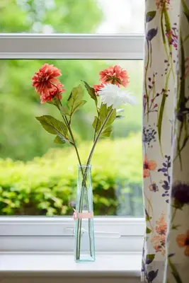 a vase with flowers sitting on a window sill at Lovely Edinburgh Home - Craighouse Gardens in Edinburgh