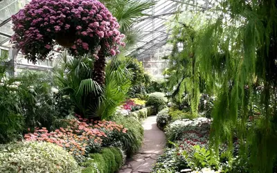 a garden with many different types of flowers in a greenhouse at Stylish Studio Retreat in Ideal Location in Moffat