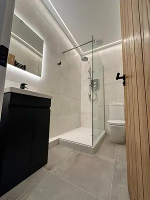 a bathroom with a glass shower and a toilet at Glasgow West End Tenement Apartment in Glasgow
