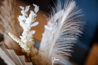 a white feather sitting on top of some flowers at 2BR Apartment with Parking Near Southside and Queens Park in Mansewood