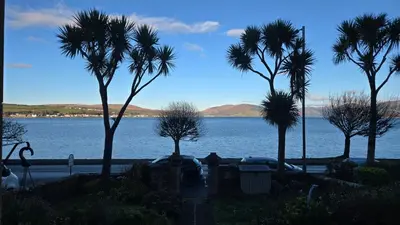 a group of palm trees next to a body of water at Exceptional 1 bedroom riverside 2E apartment in Ayr