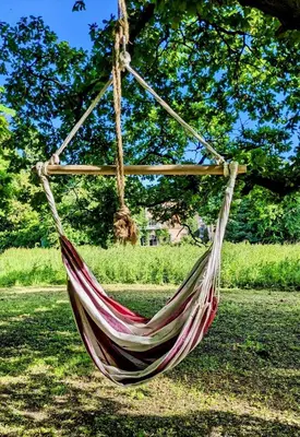 a hammock hanging from a tree in a park at Luxury Shepherds Hut on Powis House Estate in Stirling