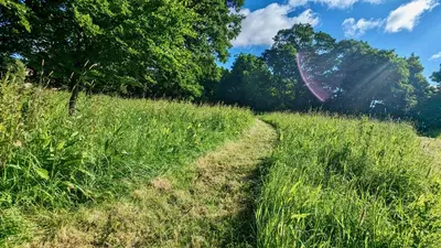a path through a field of tall grass at Luxury Shepherds Hut on Powis House Estate in Stirling