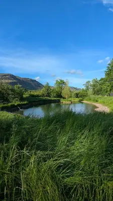 a river in the middle of a field with grass at Luxury Shepherds Hut on Powis House Estate in Stirling