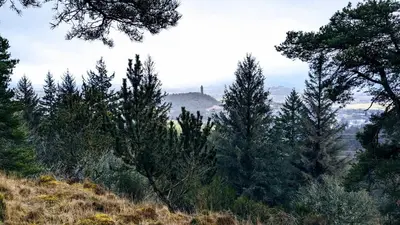 a view from the top of a hill with trees at Shepherds Hut on tranquil Powis House Estate in Stirling