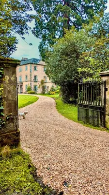 a dog walking down a gravel road in front of a building at Shepherds Hut on tranquil Powis House Estate in Stirling