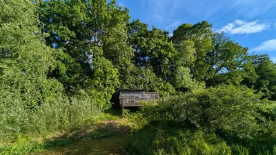 a wooden shack in the middle of trees at Shepherds Hut on tranquil Powis House Estate in Stirling