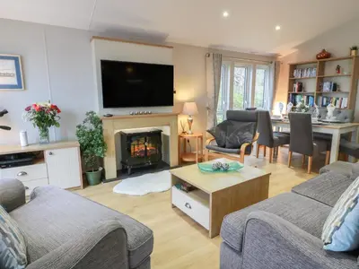 a living room with a couch and a fireplace at Serenity Lodge in Wemyss Bay