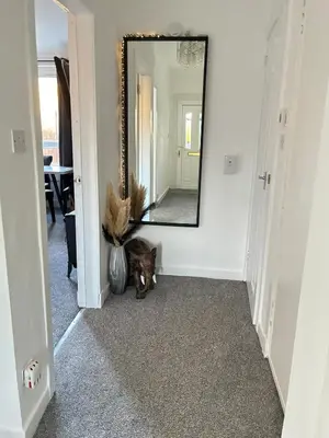 a cat sitting in front of a mirror in a hallway at 2 bedroom fully furnished apartment in Springburn