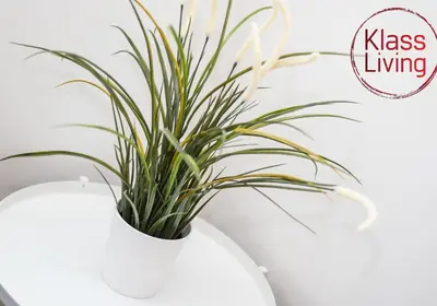 a white vase with a plant in it at Cosy Apartment by Klass Living Bellshill in Bellshill
