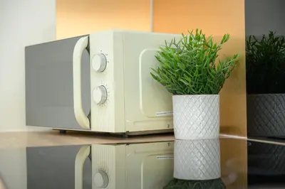 a microwave oven with a vase with a plant in it at Stylish Stirling home with stunning views in Stirling