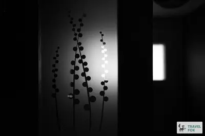 two silhouettes of plants in a room with a window at Charlotte Street Stay in Port Ellen