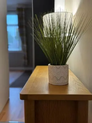 a plant sitting on top of a wooden table at Modern 2BR Cottage Flat in Bellshill