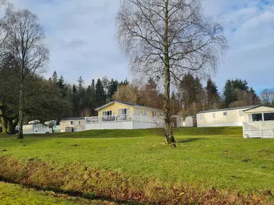 a grassy field with houses and a tree at 10 lochview in Moffat