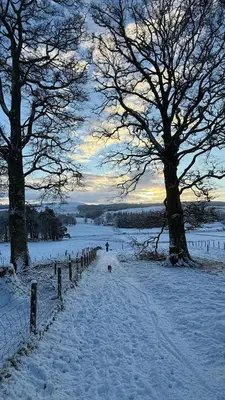 a person walking a dog in the snow at Peaceful Village Flat 2 Bedrooms in Douglas