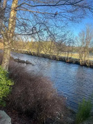 a view of a river with a tree in the foreground at The Eden, Cosy 1 bed lodge with riverside views in Crieff