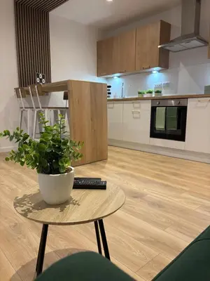 a kitchen with a table with a potted plant on it at 7 min from Edinburgh Airport 2 Bedroom Apartment in Edinburgh