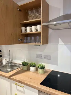 a kitchen with a sink and some plants on a counter at 7 min from Edinburgh Airport 2 Bedroom Apartment in Edinburgh