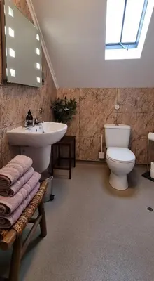 a bathroom with a white toilet and a sink at Craigbuie Guesthouse in Killin