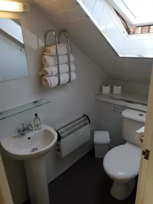 a bathroom with a sink and a toilet and a skylight at Glenfern Guest House and a separate Cottage with its own private hot tub in Balloch