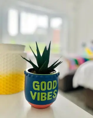 a potted plant sitting on top of a table at Clyde Fifty Two - Glasgow Apartment in Glasgow