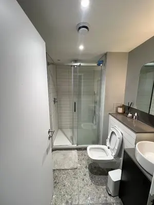 a bathroom with a shower and a toilet and a sink at Modern City Apartment, Fast Wi-Fi, Great View in Moffat