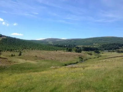 a green hillside with a field of grass and trees at Holiday Home Gehöft 2 by Interhome in Tweedsmuir