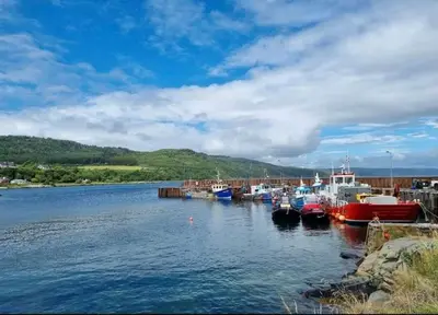 a group of boats docked in a body of water at Lynndale in Carradale