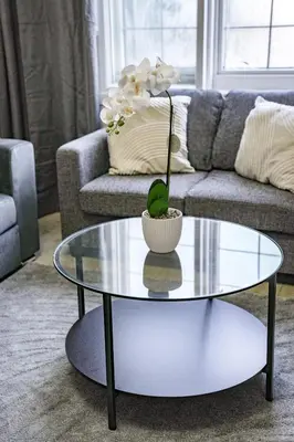 a glass coffee table in a living room with a plant on it at Burnvale Apartment in Livingston
