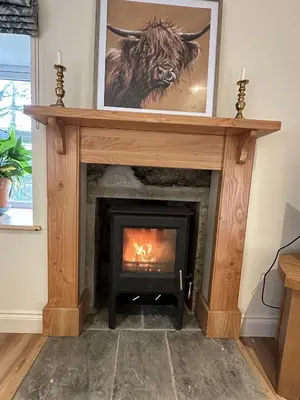 a fireplace in a living room with a picture of a bull at Ederline Farm Cottage in Lochgilphead