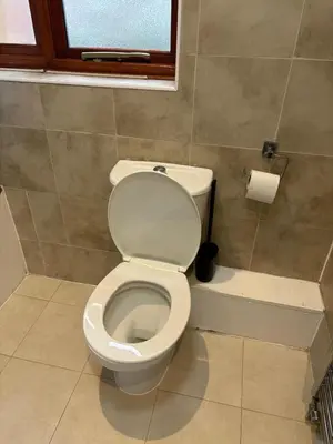 a bathroom with a white toilet and a window at Peace Haven Hendon London NW4 in Moffat