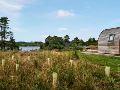 a barn in a field next to a body of water at Now - Uk50567 in Port of Menteith