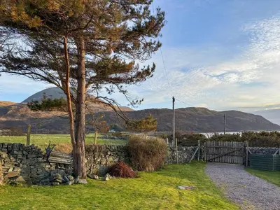 a tree next to a stone wall and a bench at The Green in Lochranza