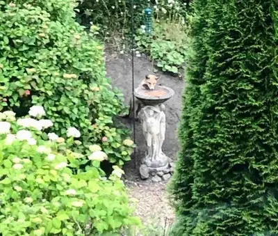 a cat sitting on a bird bath in a garden at Tranquil 2 Bed Flat, Free Parking, near Murrayfield & City Centre in Edinburgh