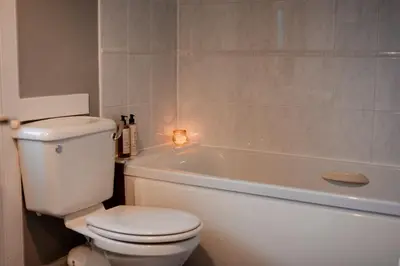 a bathroom with a white toilet and a bath tub at Fir Tree Lodge - Seasgair Lodges in Crieff