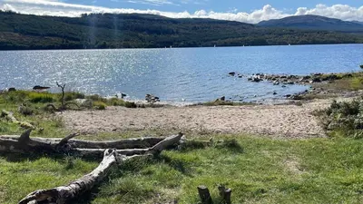 a lake with a bunch of logs on the shore at Coach House at Morenish Mews in Killin