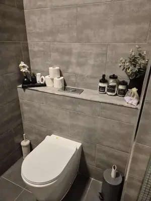 a bathroom with a toilet and a shelf with toiletries at Modern & Cozy Apartment in the Heart of the City in Moffat