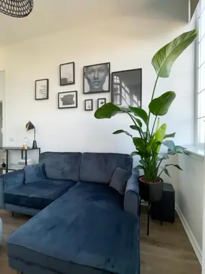 a blue couch in a living room with a plant at WHITE LOFT - Modern flat close to the City Centre in Edinburgh