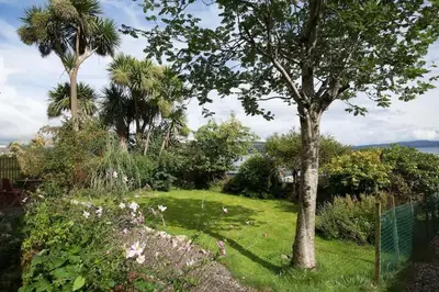a garden with palm trees and a fence at 25 Ardbeg Road in Rothesay