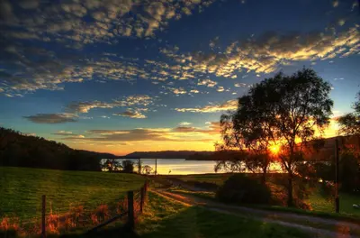 a sunset over the water with a tree and a road at Blarghour Farm Cottages Overlooking Loch Awe in Ardchonnell