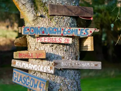 a tree with signs attached to a tree at Carsaig in Port of Menteith