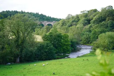 a bridge over a river with sheep in a field at Linwater Caravan Park - Luxury Lodges and Static Caravans near Edinburgh in Newbridge