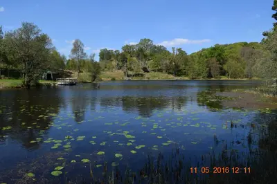 a lake with lily pads in the water at Inverawe Cottages in Taynuilt