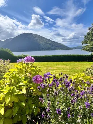 a field of flowers with a lake in the background at Allt Nan Ros Apartments fort william in Onich