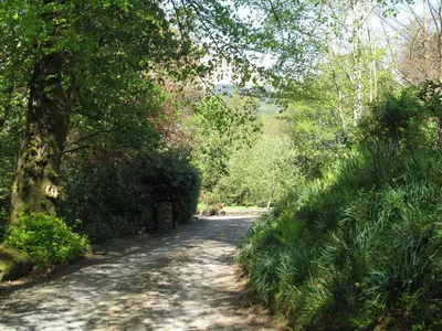a dirt road in the middle of a forest at Mansefield House in Arrochar