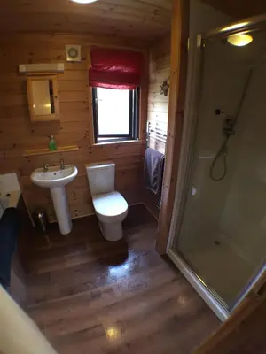 a bathroom with a toilet and a sink and a shower at Lochlomondlodge22 in Rowardennan