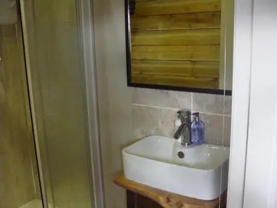 a bathroom with a sink and a mirror and a shower at Riggend Farm Accomodation in Airdrie