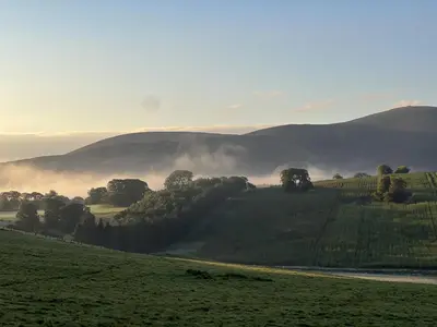 a misty field with trees and hills in the distance at Pond Cottage in Covington