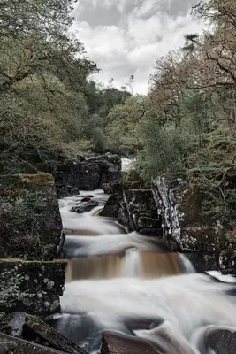 a river with water rushing through a forest at The Crown in Callander