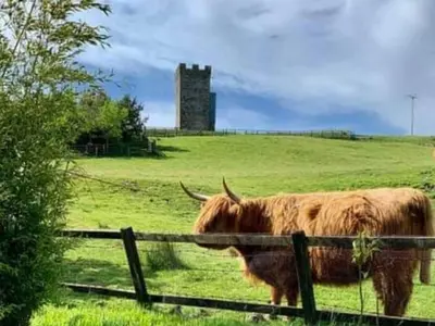 two cows standing in a field behind a fence at Old Barn Farmhouse - Cc in Uplawmoor